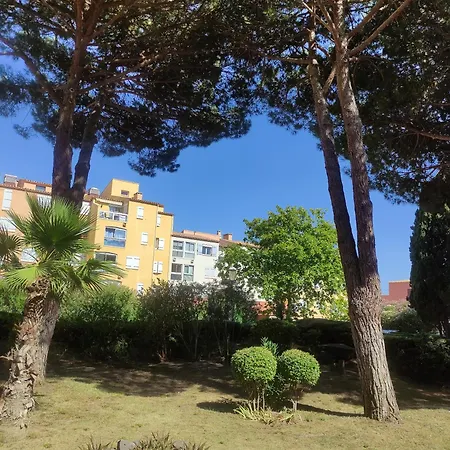 Les Caraibes Cap D'agde - Centre Port- Parking Gratuit-terrasse - Wifi 5g Apartment Agde