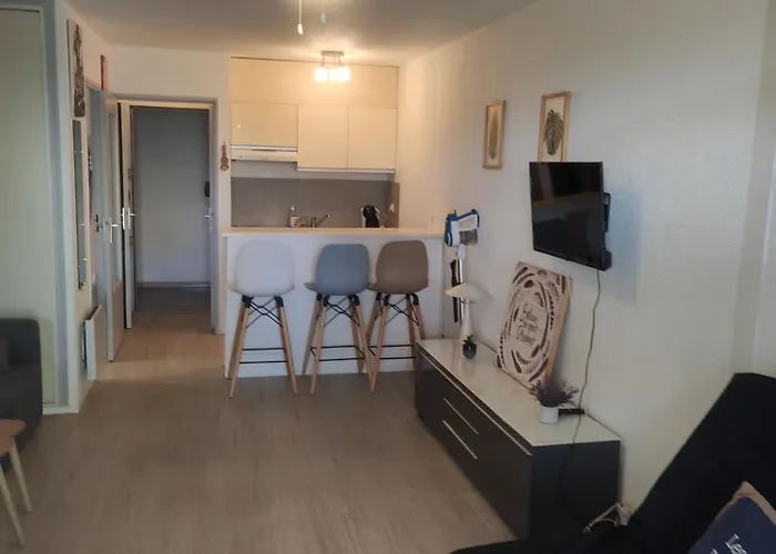 Apartment Les Caraibes Cap D'agde - Centre Port- Parking Gratuit-terrasse - Wifi 5g