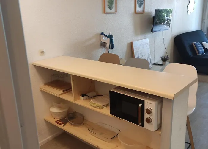 Les Caraibes Cap D'agde - Centre Port- Parking Gratuit-terrasse - Wifi 5g Agde