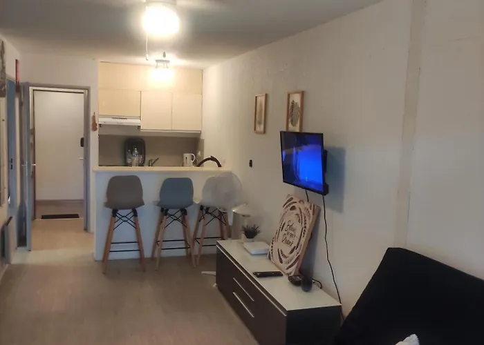 Les Caraibes Cap D'agde - Centre Port- Parking Gratuit-terrasse - Wifi 5g *